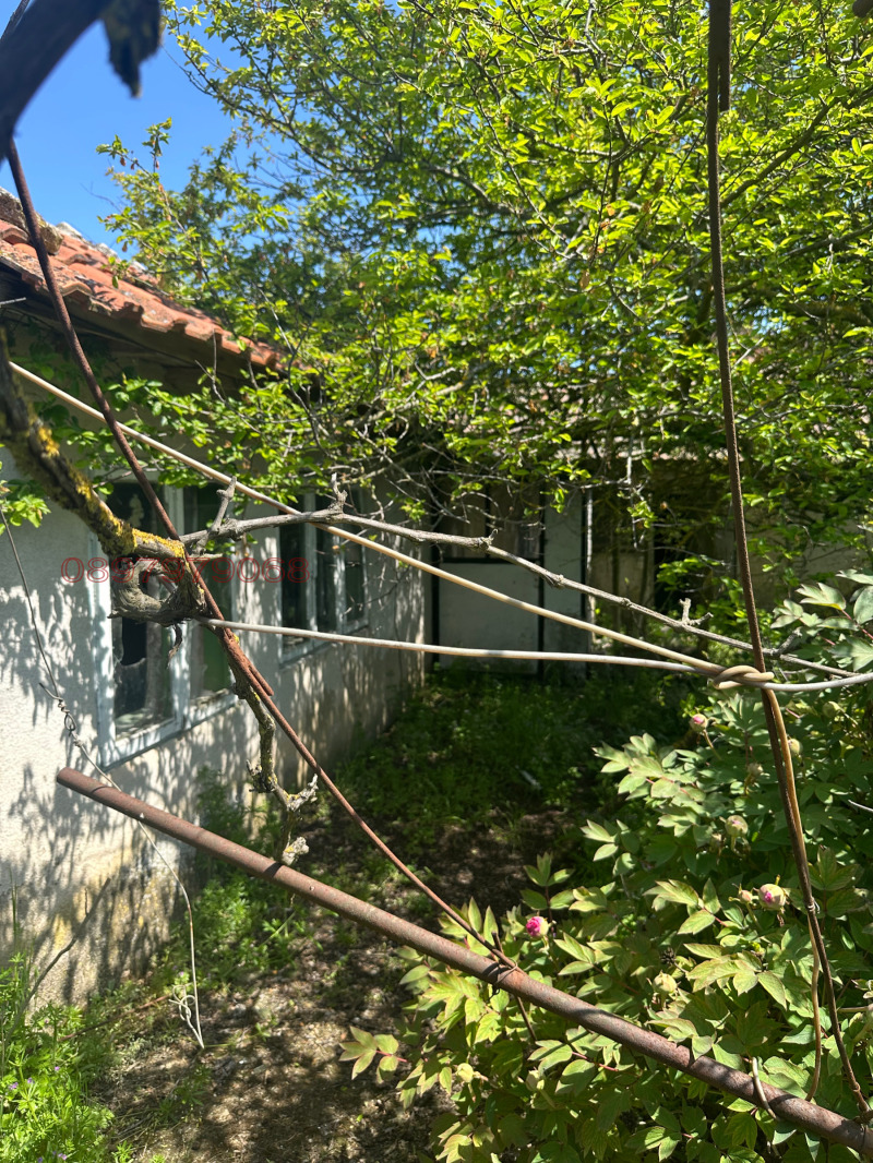 For Sale  House region Dobrich , Balgarevo , 70 sq.m | 82435784