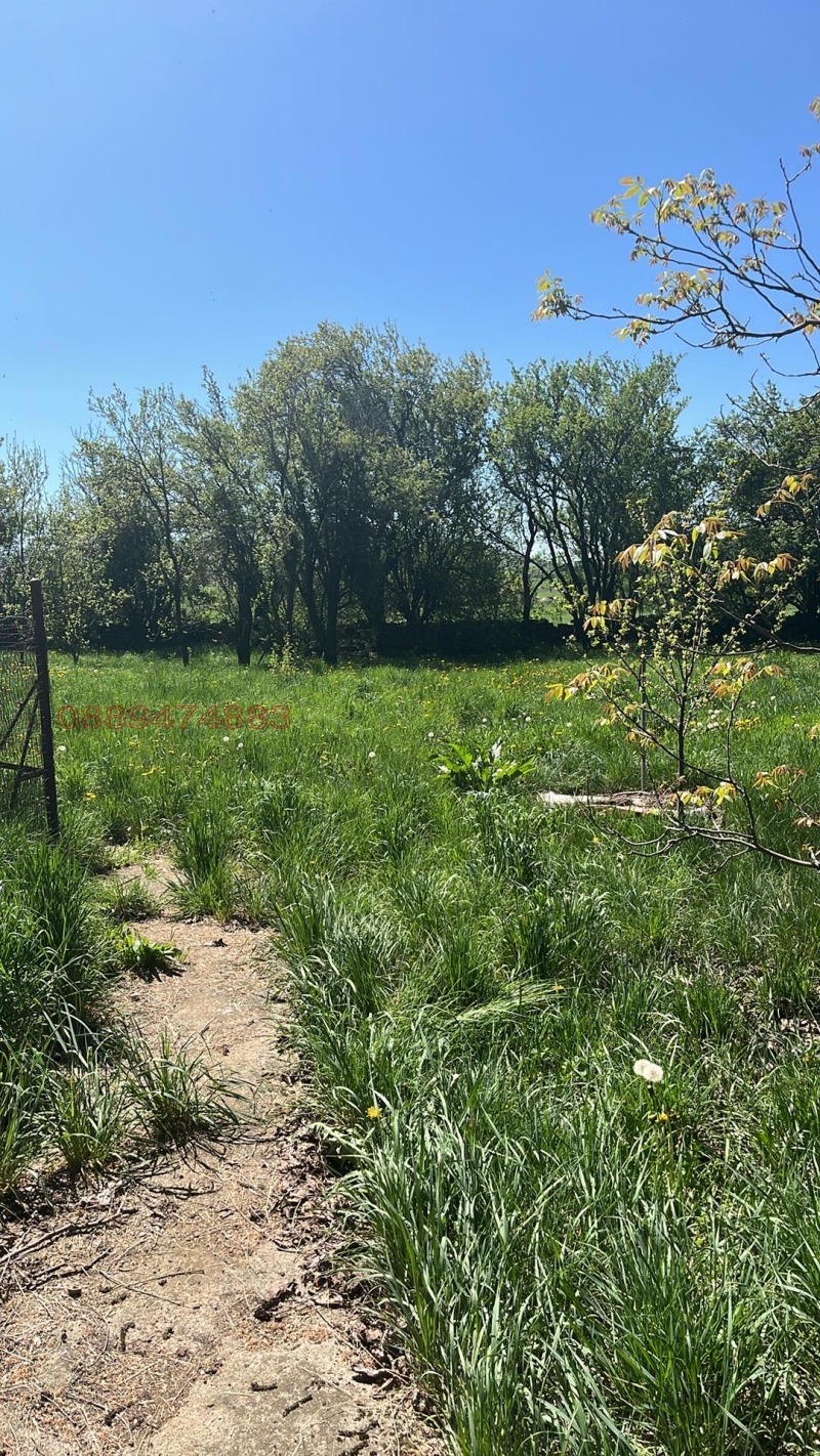 Продава ПАРЦЕЛ, с. Големо Малово, област София област, снимка 3 - Парцели - 52782527