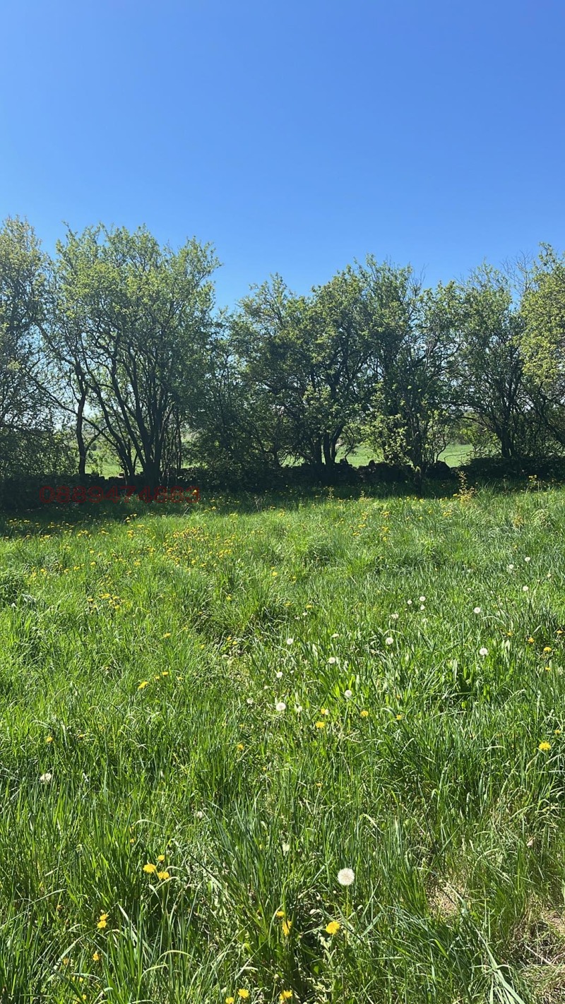 Продава ПАРЦЕЛ, с. Големо Малово, област София област, снимка 5 - Парцели - 52782527