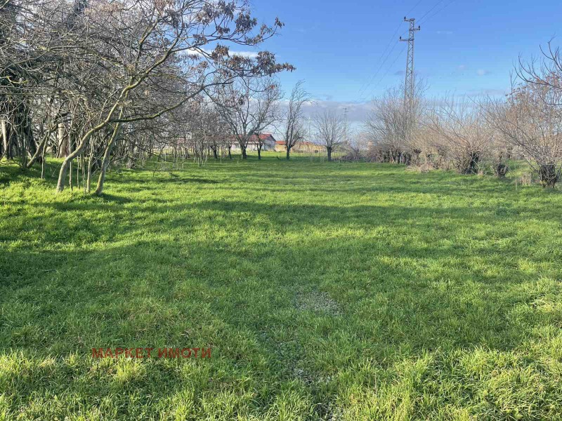 Продава ПАРЦЕЛ, с. Коларово, област Стара Загора, снимка 2 - Парцели - 53562864