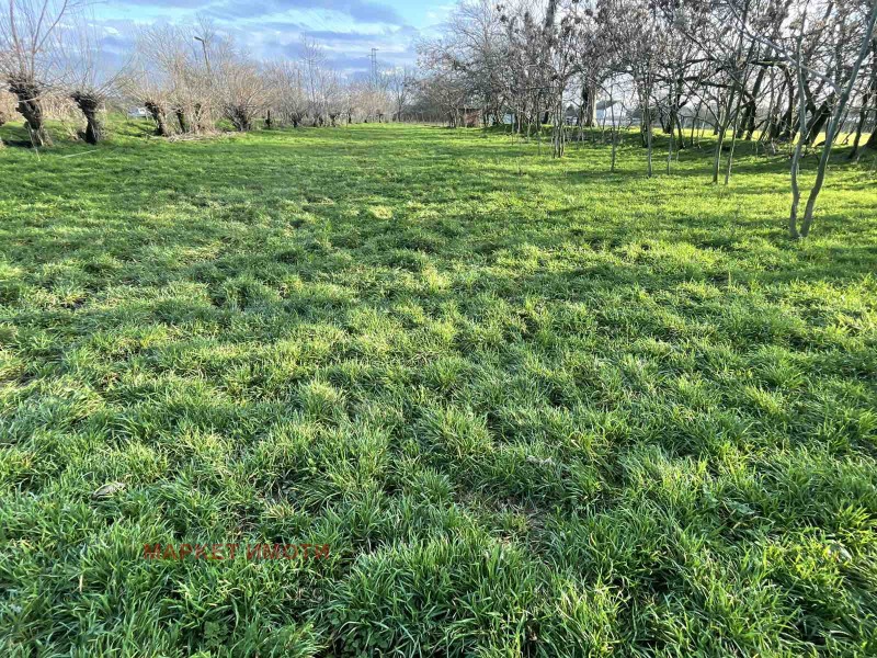 Продава ПАРЦЕЛ, с. Коларово, област Стара Загора