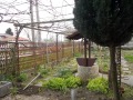 Продава КЪЩА, с. Плачидол, област Добрич, снимка 16