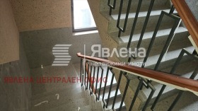 ����� ������� 2-�����,���� �����, ������