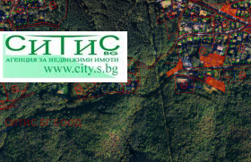 ����� ������� ������,���� �����, �����