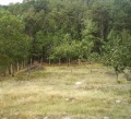 Продава ПАРЦЕЛ, град Варна, м-т Франга Дере • 60900 € • 67645759 — Holmes.bg