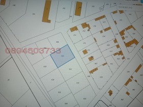 ������ ������� ������