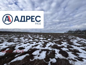 ������ ������� ������