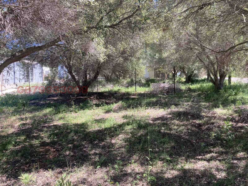 Продава ПАРЦЕЛ, Извън страната, област Извън страната, снимка 3 - Парцели - 52754110