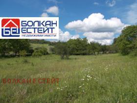 Продажба на имоти в с. Беляковец, област Велико Търново — страница 4 - изображение 5 