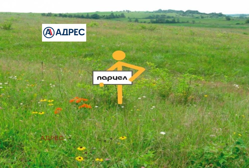 Продается  Сюжет Варна , к.к. Златни пясъци , 1200 кв.м | 33705646