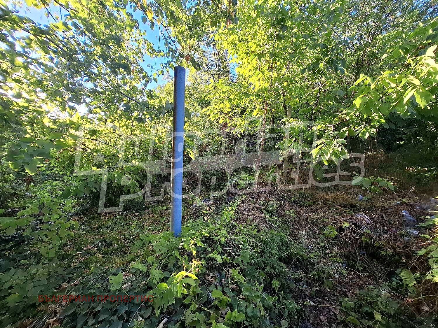 Продава ПАРЦЕЛ | Imot.bg — изображение 4