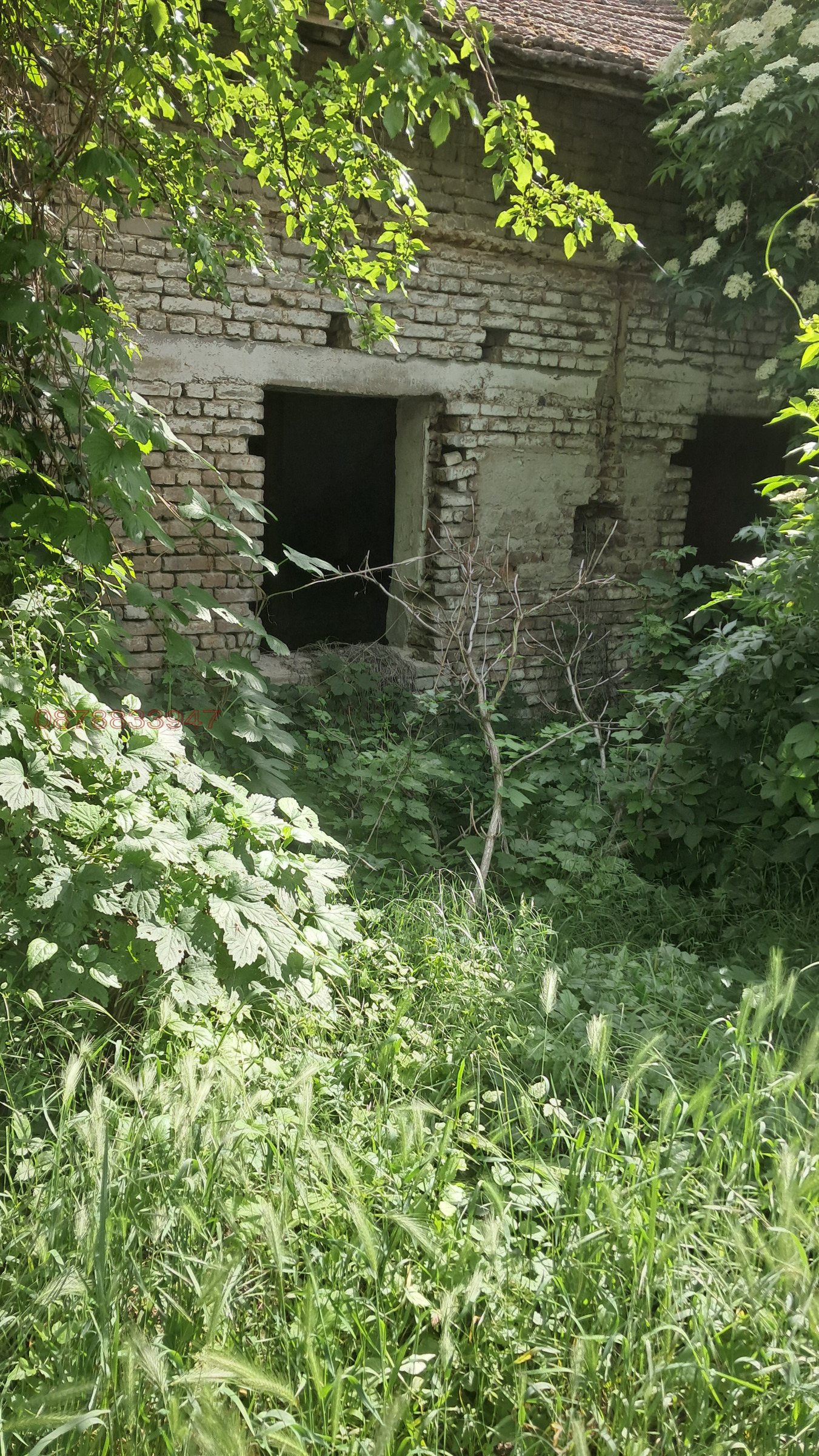 ������� ������ | Imot.bg � ����������� 7