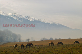   | Imot.bg    3