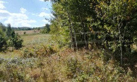 ������� ������ | Imot.bg � ����� ������ 6