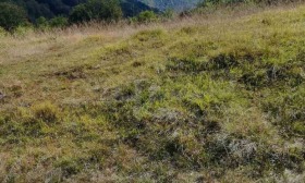 ������� ������ | Imot.bg � ����� ������ 12