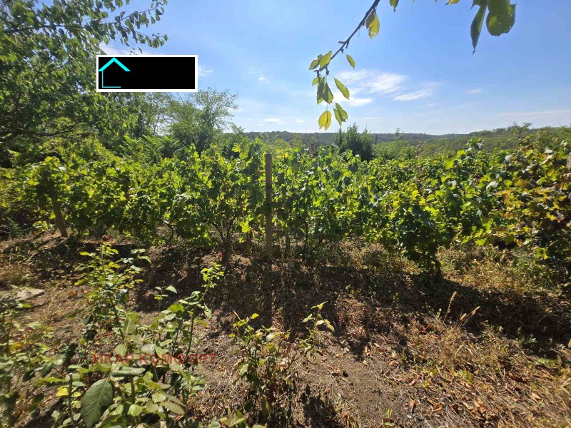 Na prodej  Dům Ruse , v.z. Kaseva Češma , 60 m2 | 61631924 - obraz [6]