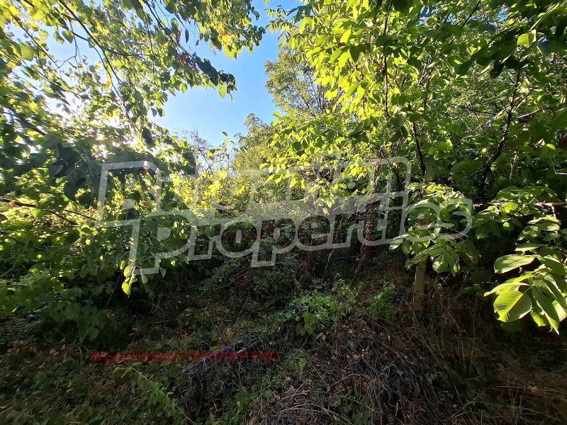 Продава ПАРЦЕЛ, с. Маноя, област Габрово, снимка 5 - Парцели - 52094222