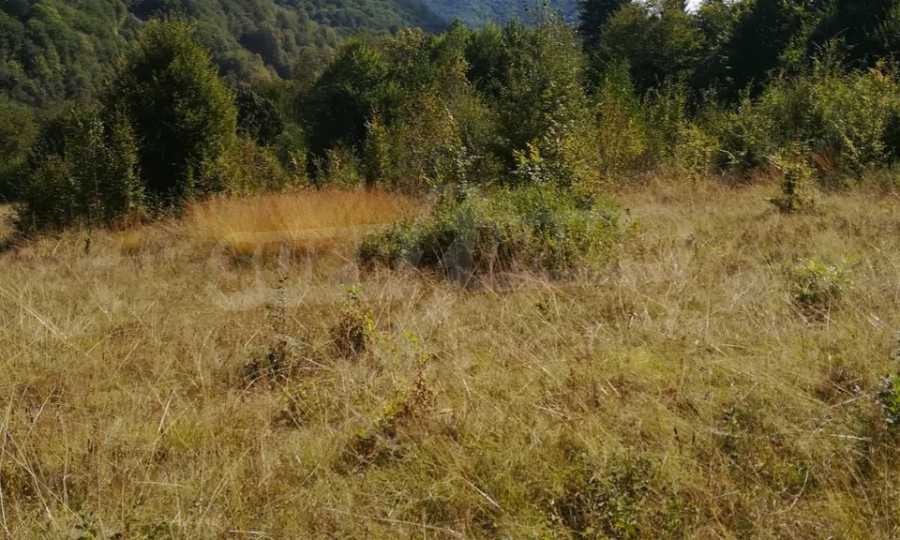 Продава ПАРЦЕЛ, с. Рибарица, област Ловеч, снимка 15 - Парцели - 53789304