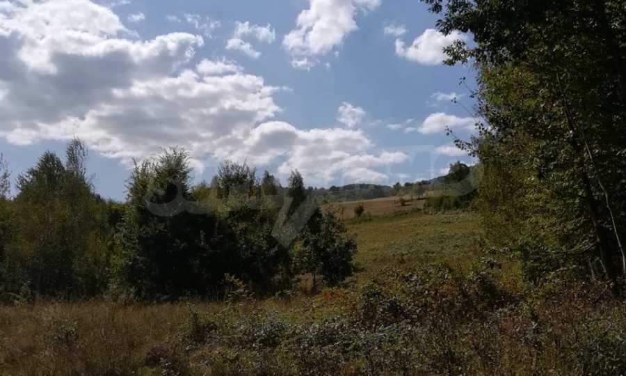 Продава ПАРЦЕЛ, с. Рибарица, област Ловеч, снимка 5 - Парцели - 53789304