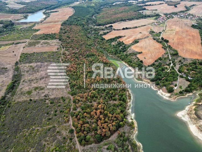 For Sale  Plot region Haskovo , Tsareva polyana , 587623 sq.m | 38823996 - image [2]