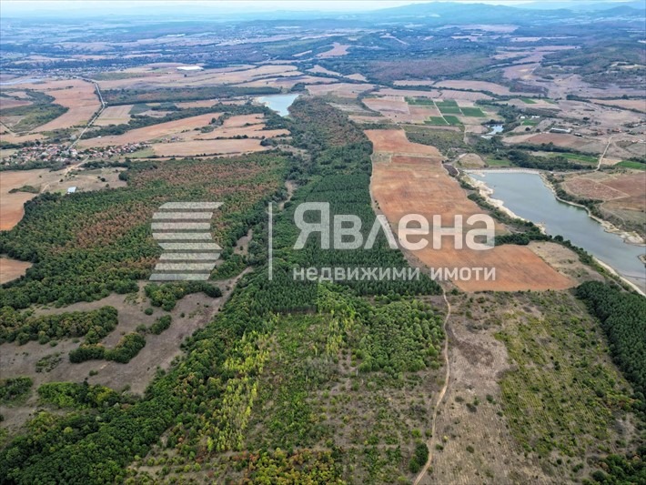 For Sale  Plot region Haskovo , Tsareva polyana , 587623 sq.m | 38823996 - image [3]