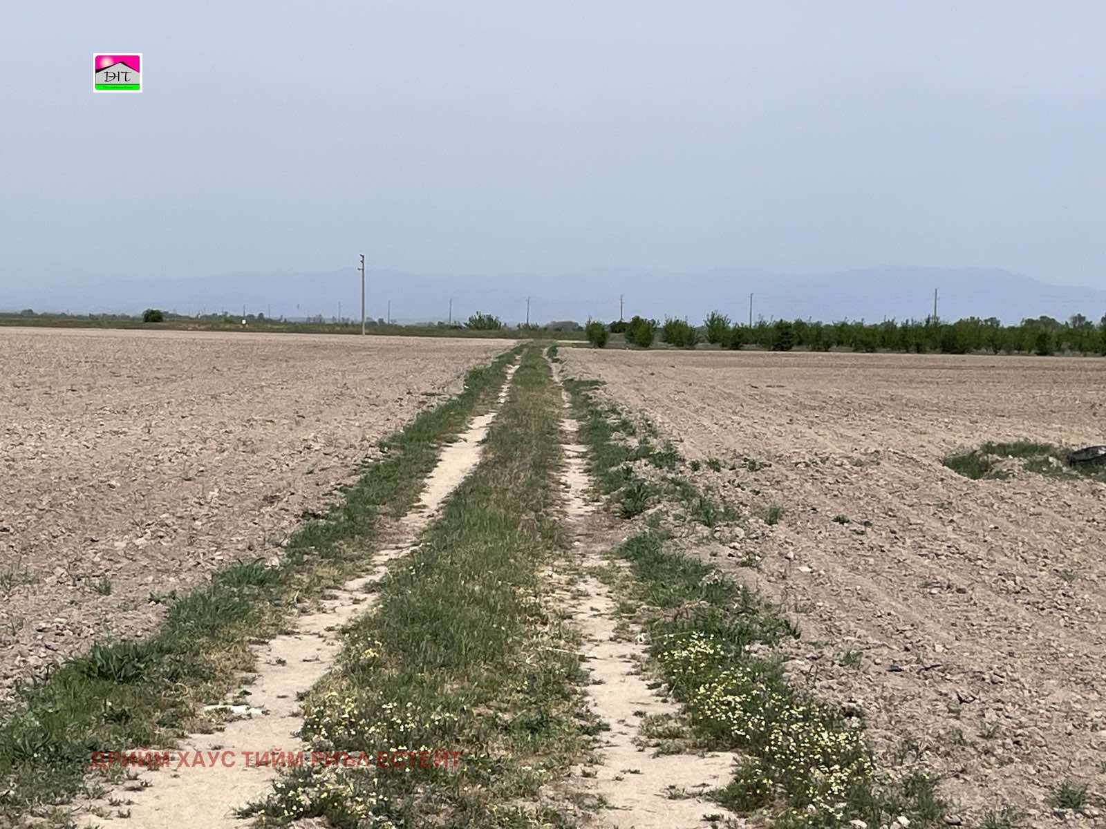 Продава ЗЕМЕДЕЛСКА ЗЕМЯ | Imot.bg — изображение 2