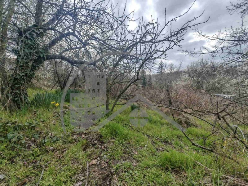 For Sale  Plot region Varna , Benkovski , 620 sq.m | 25777606 - image [2]