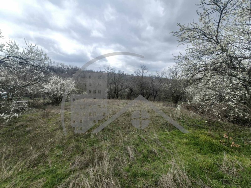 For Sale  Plot region Varna , Benkovski , 620 sq.m | 25777606 - image [4]