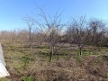 Продава КЪЩА, област Добрич, с. Сенокос • 130000 лв. • 96240220 — Holmes.bg