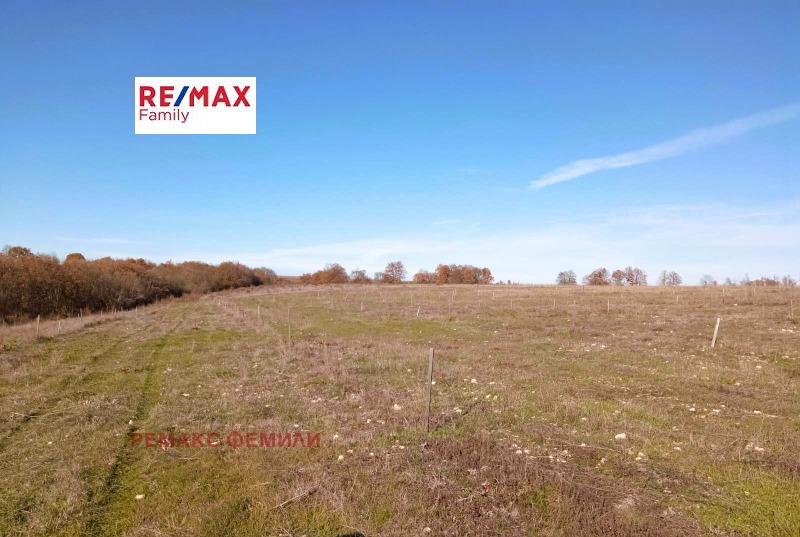 Продава ЗЕМЕДЕЛСКА ЗЕМЯ в област Варна, с. Климентово - 30 дка / 51 130 € » 100 001.59 лв., РЕМАКС ФЕМИЛИ