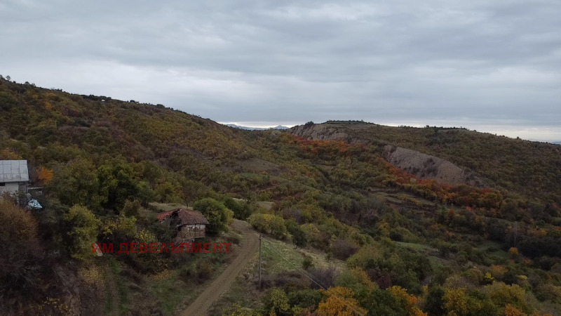 Продава КЪЩА, с. Малки Цалим, област Благоевград, снимка 10 - Къщи - 52221995