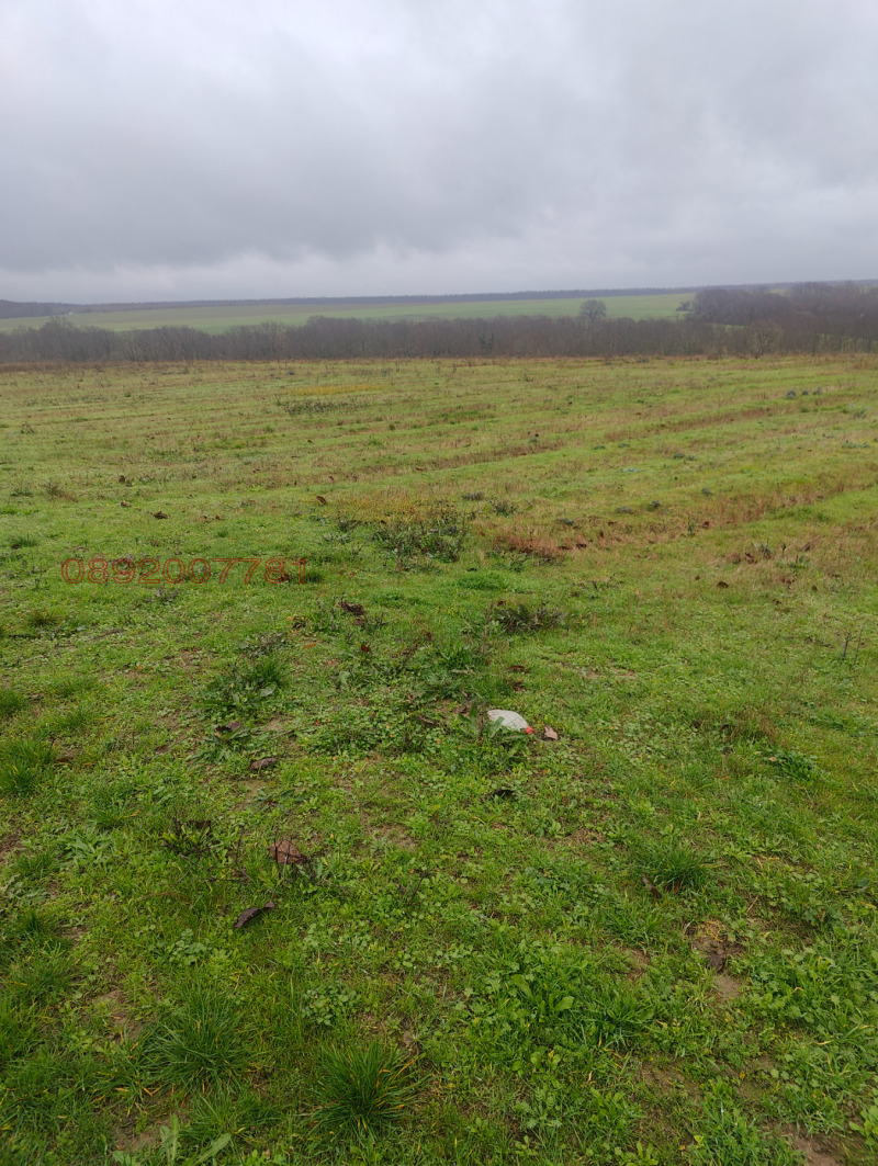 Продава ПАРЦЕЛ, с. Медово, област Бургас, снимка 2 - Парцели - 52669844