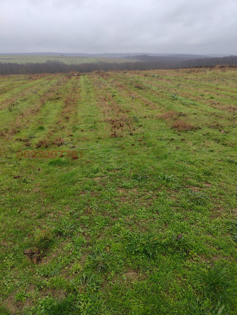 Продава ПАРЦЕЛ, с. Медово, област Бургас