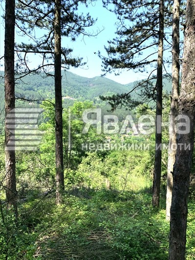 Продава ПАРЦЕЛ, с. Владо Тричков, област София област, снимка 2 - Парцели - 55438481