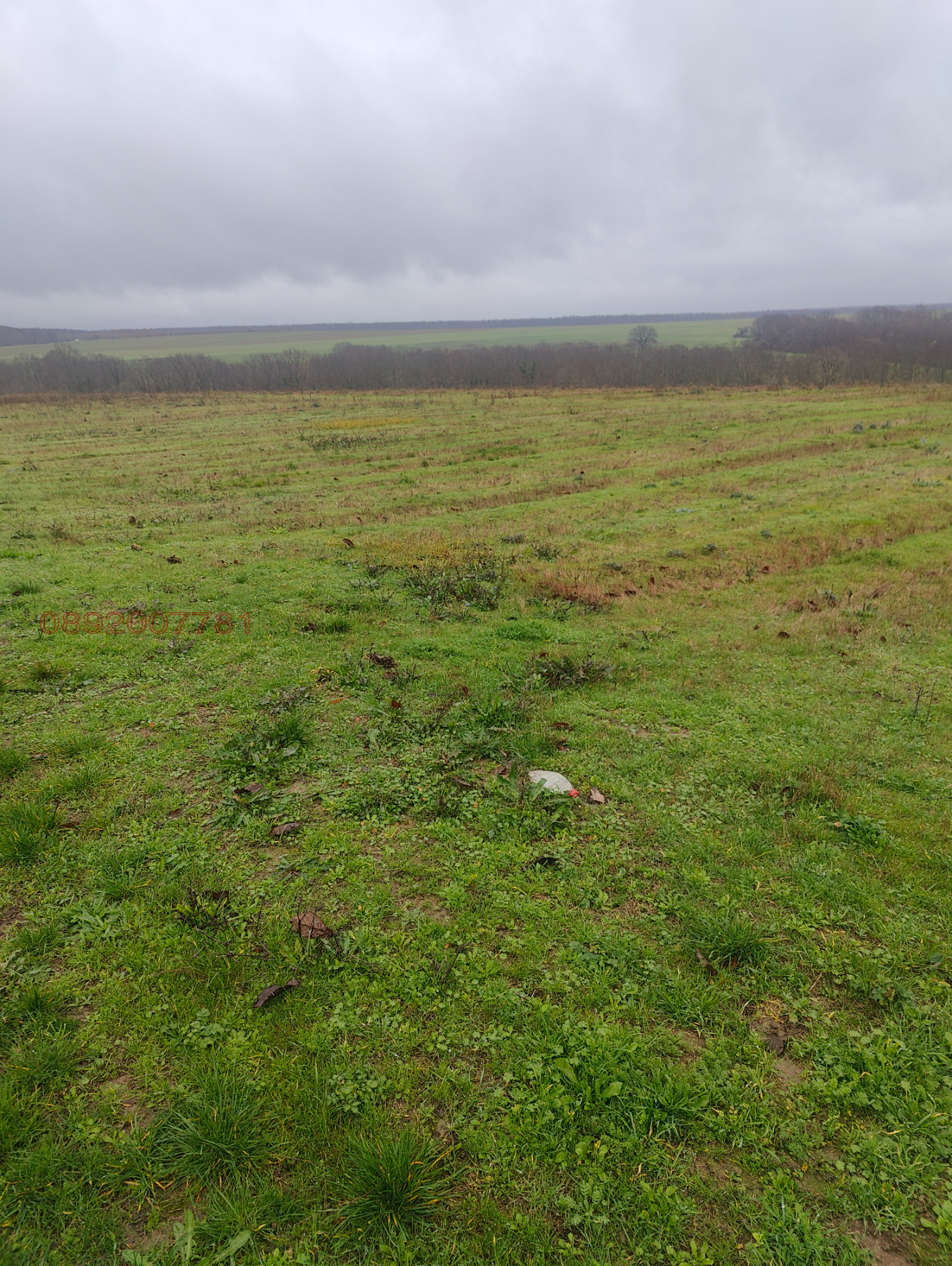 Продава ПАРЦЕЛ, с. Медово, област Бургас, снимка 2 - Парцели - 53947996