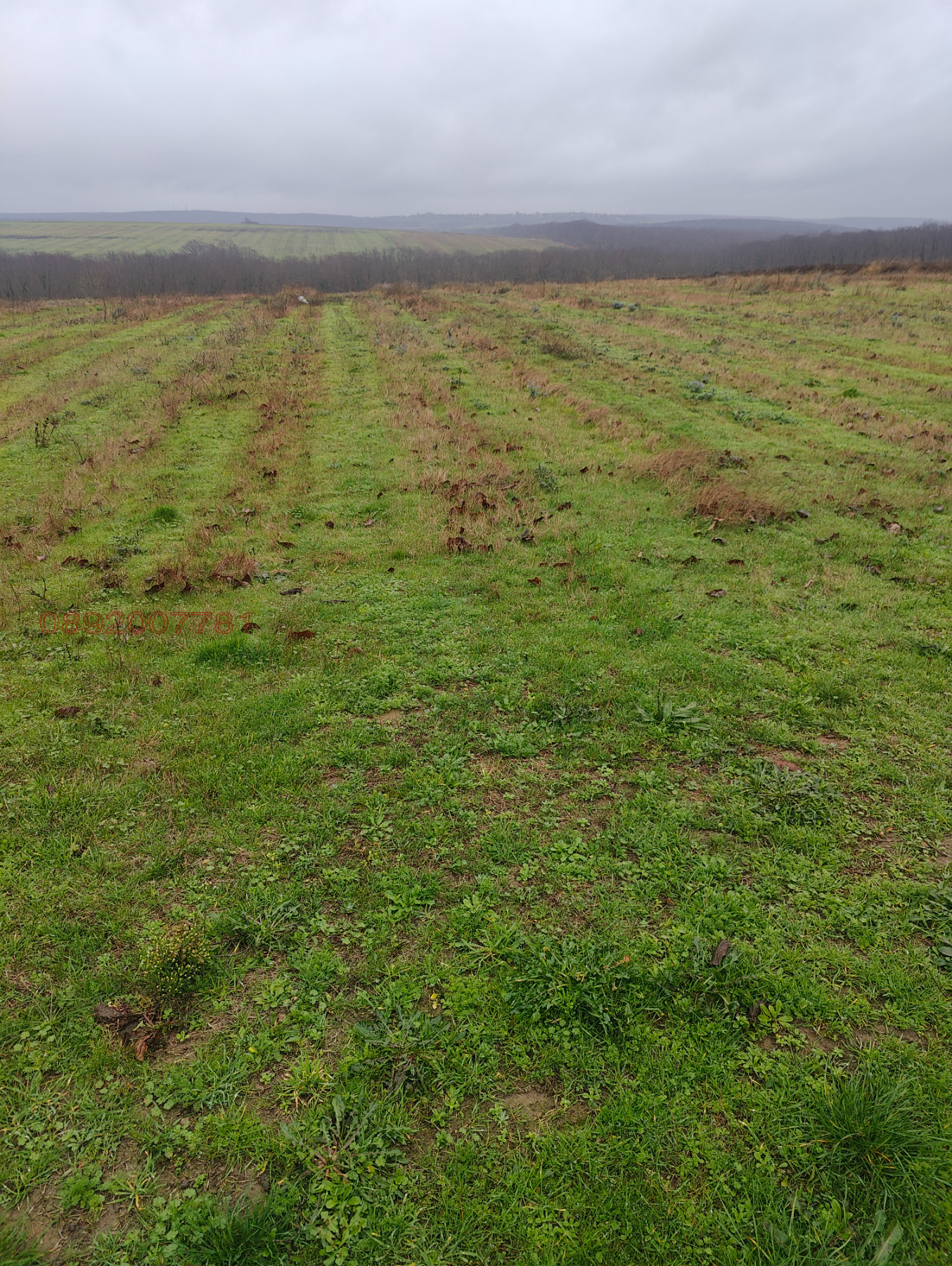 Продава ПАРЦЕЛ, с. Медово, област Бургас