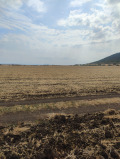 Продава ПАРЦЕЛ, с. Медово, област Бургас, снимка 4