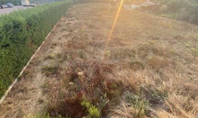 ������� ������ | Imot.bg � ����������� 2