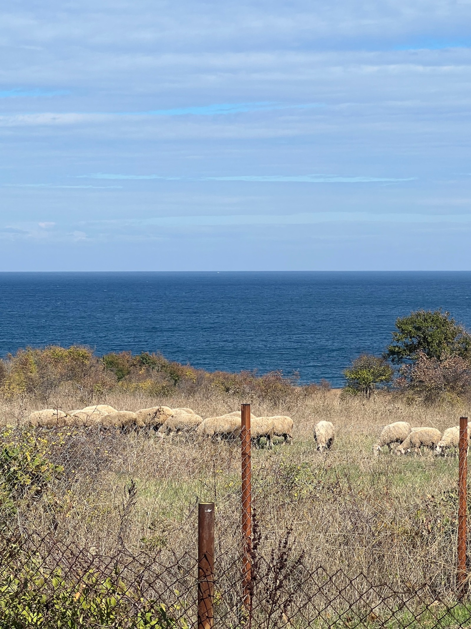 Продава ВИЛА | Imot.bg — изображение 8