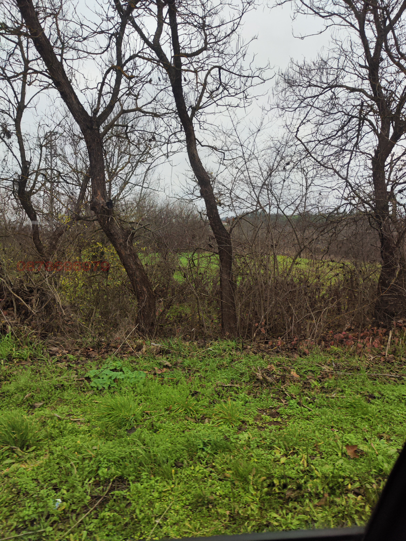 ������� ������ | Imot.bg � ����������� 3