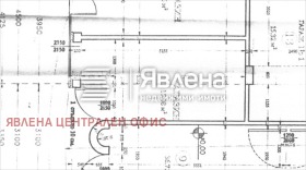 ����� ������� �������,���� �����, ������