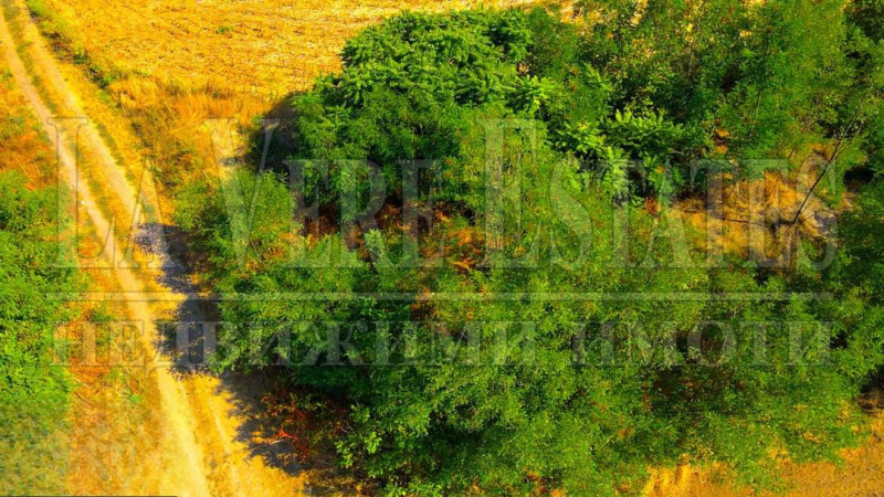 Προς πώληση  Οικόπεδο περιοχή Ruse , ΤΣΤρακλεβο , 1300 τ.μ | 32526953 - εικόνα [11]