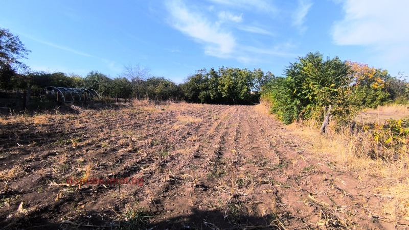 In vendita  Complotto regione Ruse , Prosena , 2608 mq | 66135755 - Immagine [2]