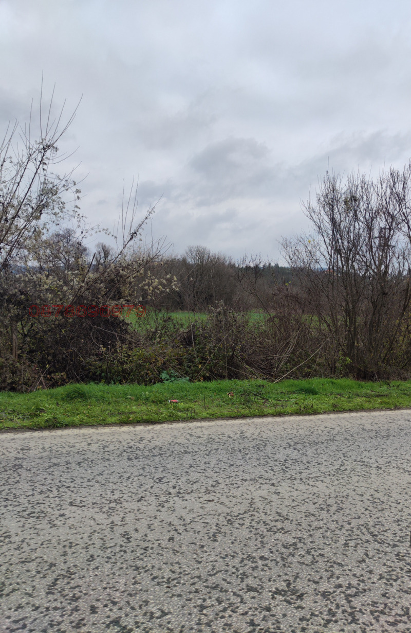 Продава ПАРЦЕЛ, гр. Дебелец, област Велико Търново, снимка 2 - Парцели - 52782779