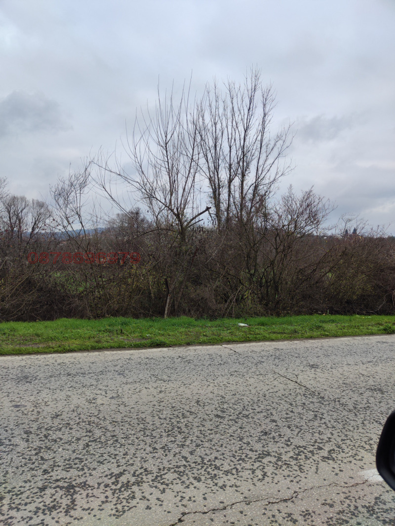 Продава ПАРЦЕЛ, гр. Дебелец, област Велико Търново, снимка 4 - Парцели - 52782779