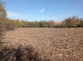 Продава ПАРЦЕЛ, с. Павел, област Велико Търново, снимка 2