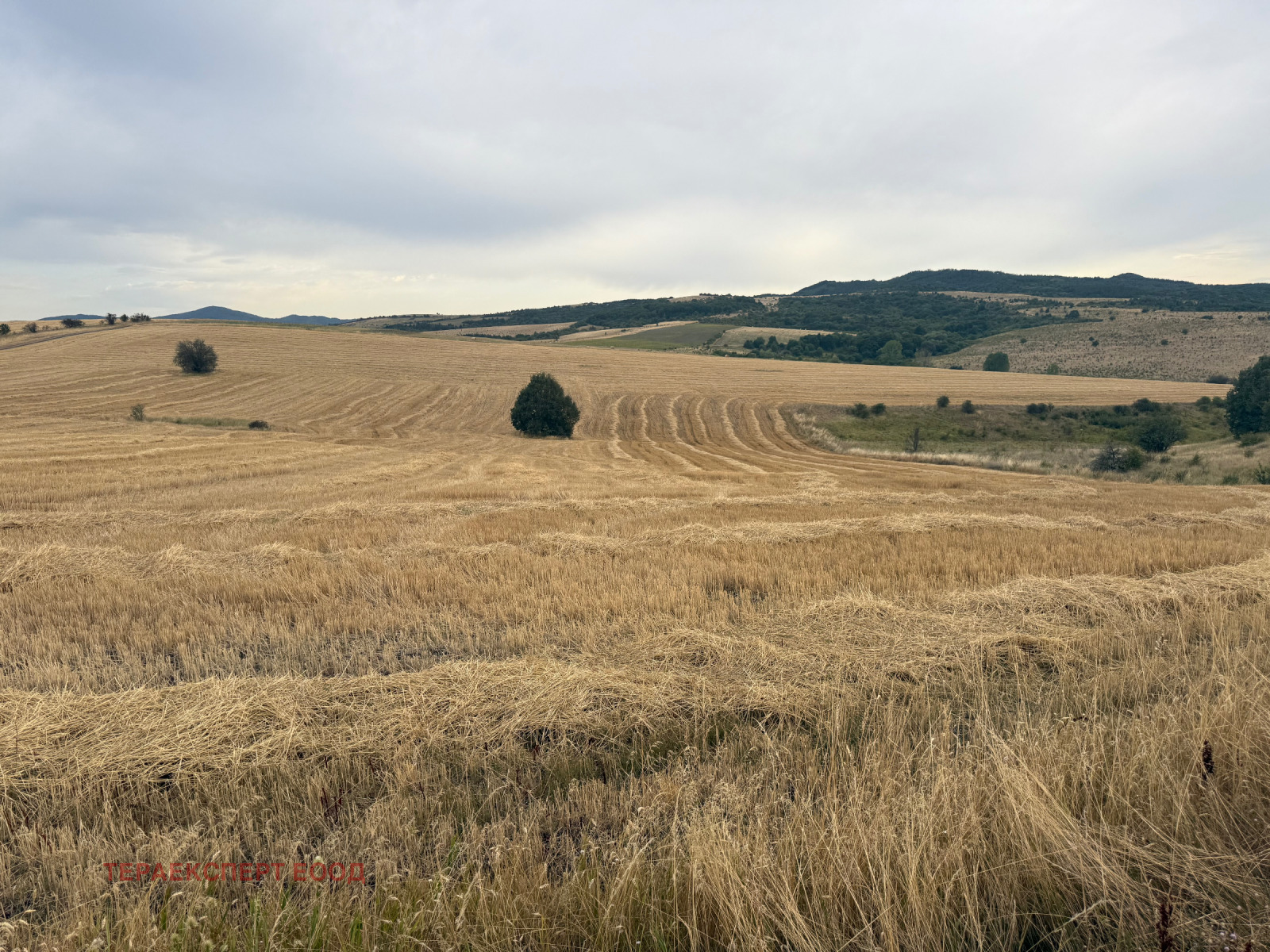 Продава ПАРЦЕЛ | Imot.bg — изображение 6