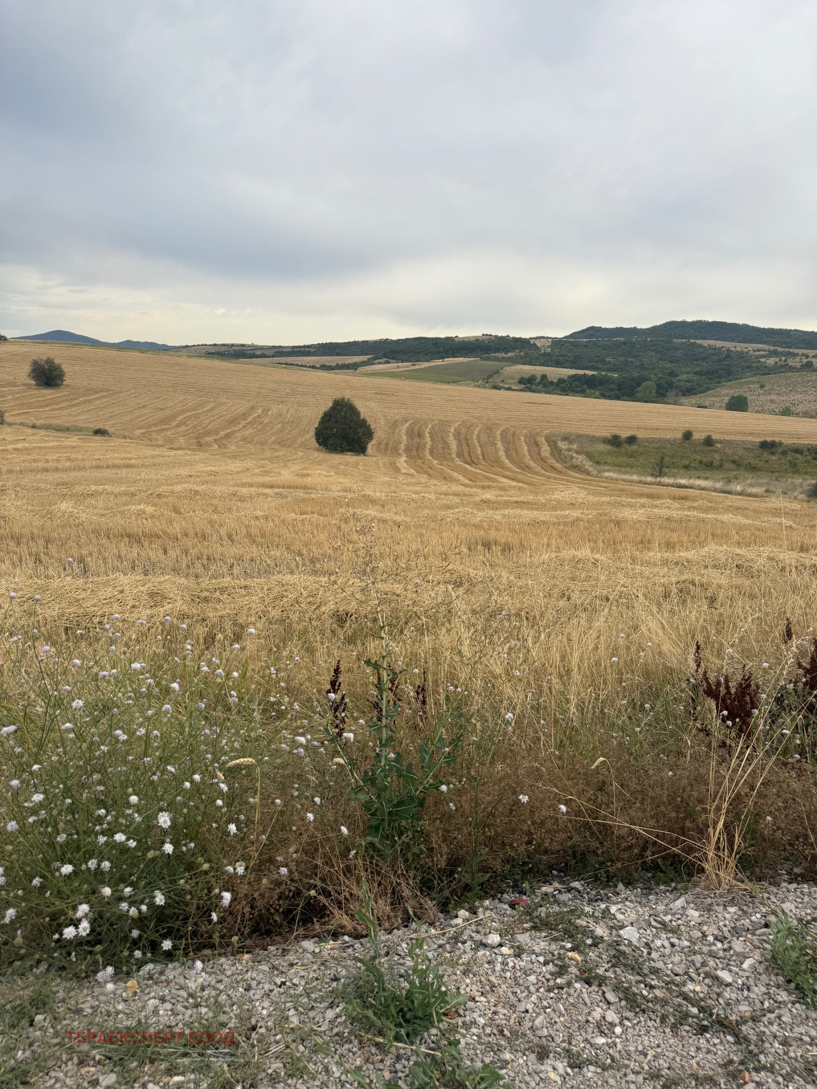 Продава ПАРЦЕЛ | Imot.bg — изображение 5