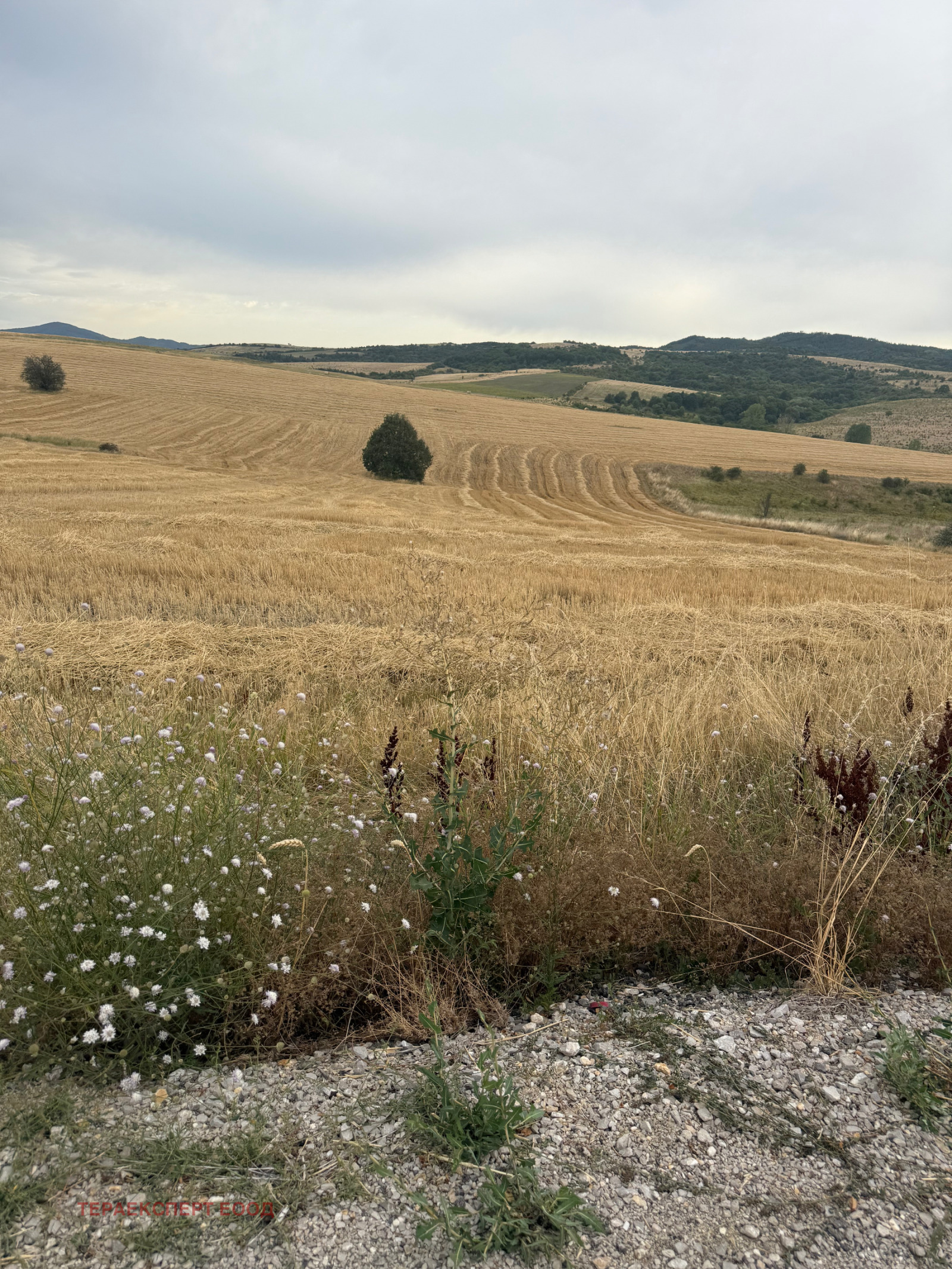 Продава ПАРЦЕЛ | Imot.bg — изображение 8