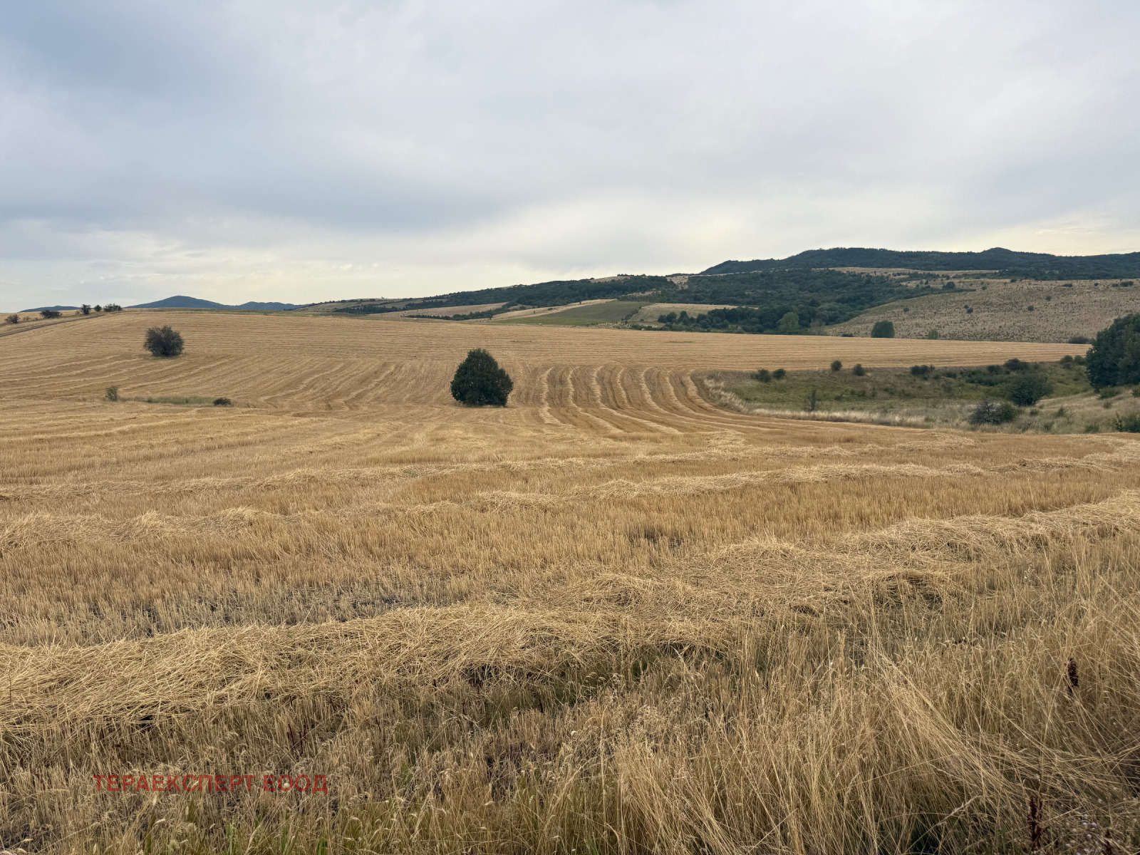 Продава ПАРЦЕЛ | Imot.bg — изображение 7